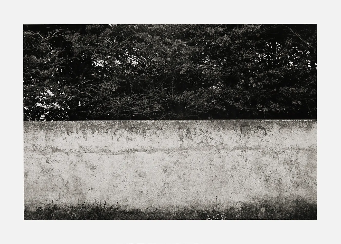 JULIÃO SARMENTO Mod 4 Photograph giclée on Hahnemuhle paper, nº 5/20, Assinada e numerada no verso 1993