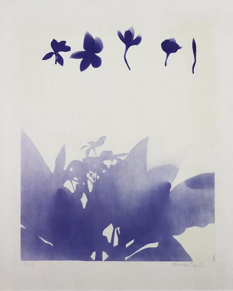 Lourdes-Cartro-s-título-serigrafia-s-papel