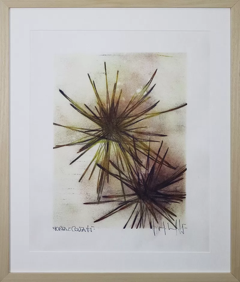 Horta e Costa - Image 2