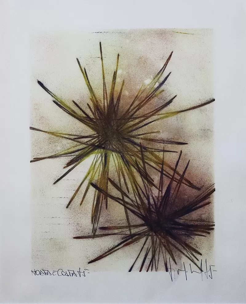 Horta e Costa-s título-Técnica mista s papel