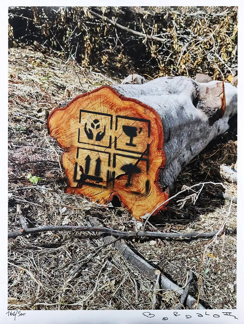 Bordalo II- Fragile-Print digital sobre papel