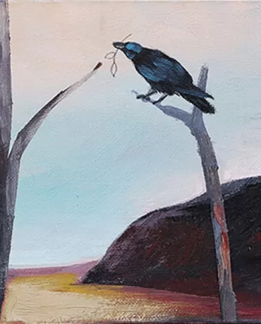 Evelina Oliveira-Corvo II