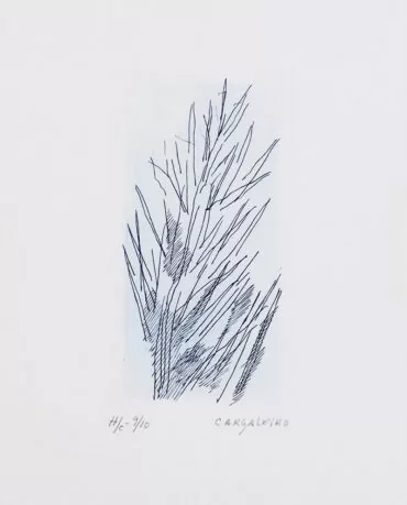 Manuel Cargaleiro - serigrafia s papel